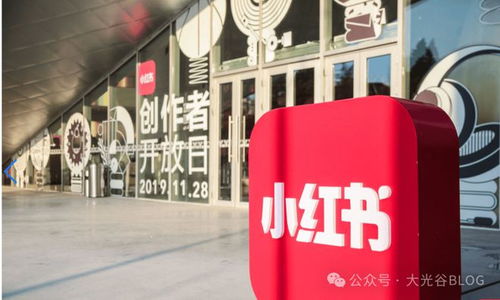 小紅書武漢公司遷址更名 戰略調整背后的電視節目制作經營布局